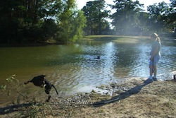 dog park in myrtle beach - off leash