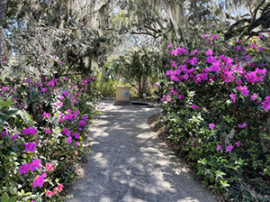 brookgreen gardens myrtle beach