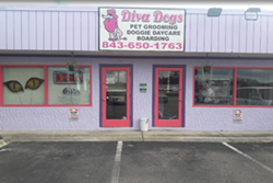 exterior, purple building with red trim, Diva Dogs Day Spa business, mirrors and brightly pained walls, playscreen TV, doggy daycare in myrtle beach
