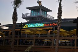 landshark bar and grill pet friendly restaurants in Myrtle Beach, SC