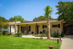 single story house with palm trees and grass yard, pet friendly pet friendly vacation rental home rental